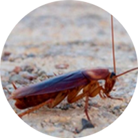 Foto2.png