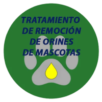 Icono_clean_1-removebg-preview.png